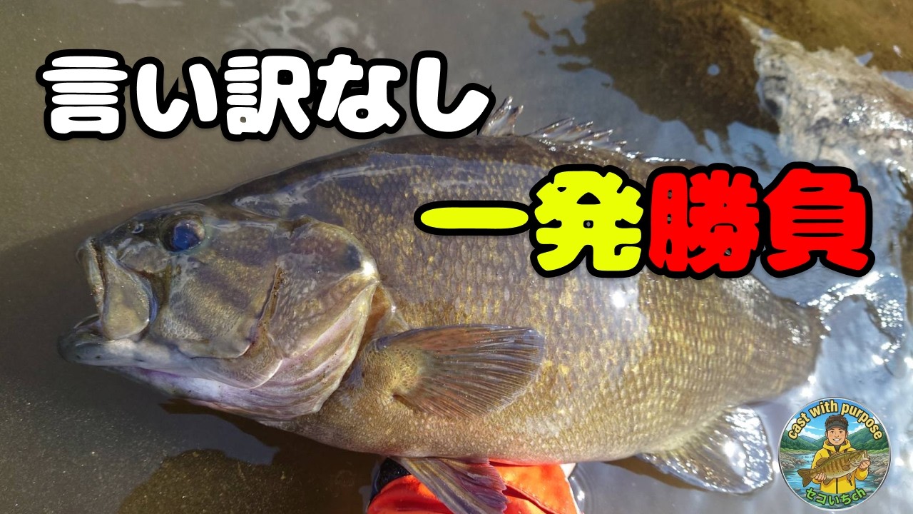 【崖っぷち】まだ初バスが釣れていない男の冬スモール本気勝負【川スモール】【Black bass】【冬】【2月】