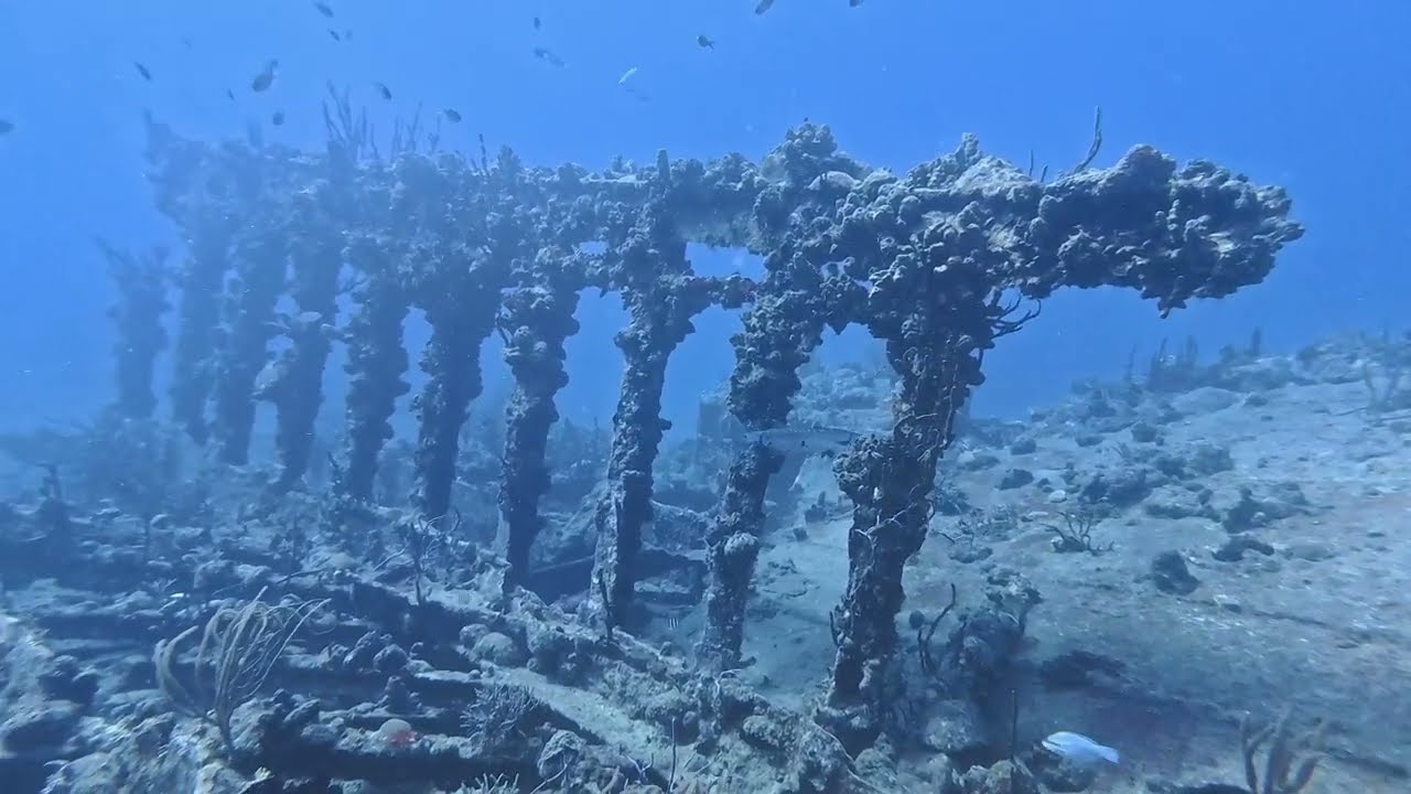 Dive Highlights: March 5, 2024 - British Virgin Islands - RMS Rhone Dive - Part 1