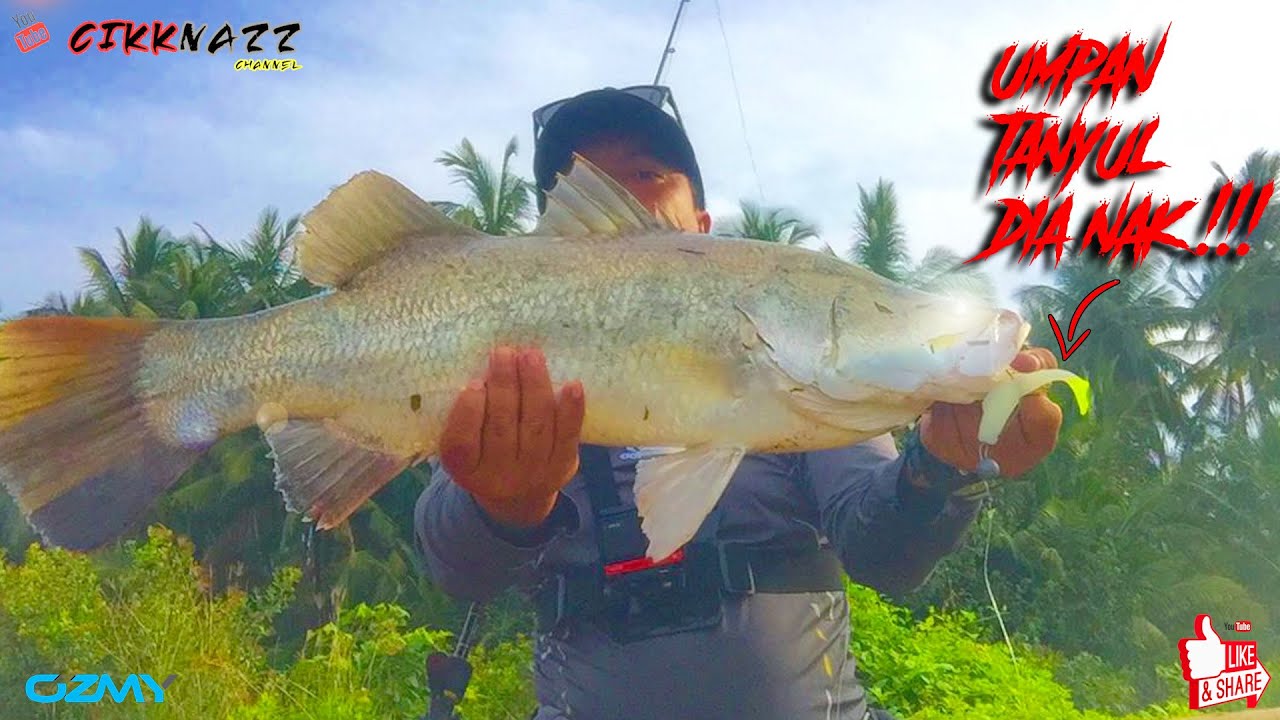 cara aku memujuk sang siakap liar 2021 !!! [MALAYSIA FISHING CHANNEL]