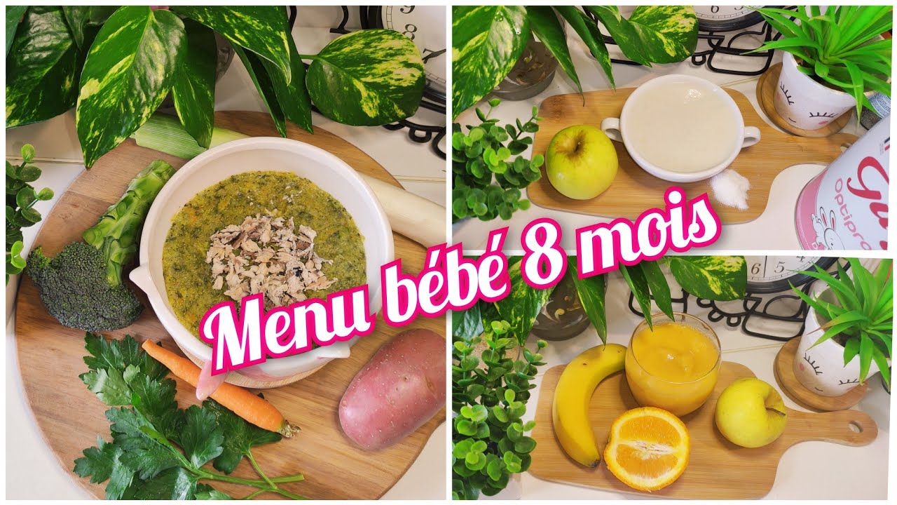 menu d'une journée pour bébé 8 mois riz au lait / légumes avec sardine / goûter fruits