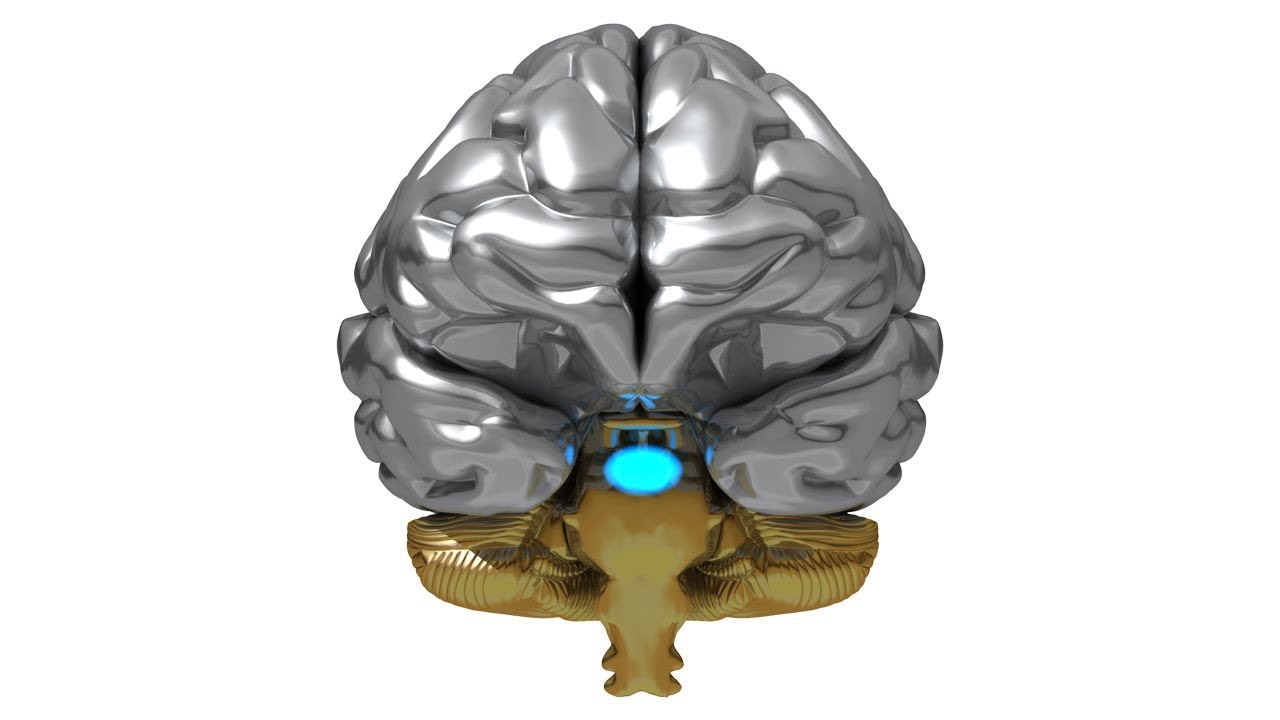 Explaining AI YouTube Explaining ai youtube
