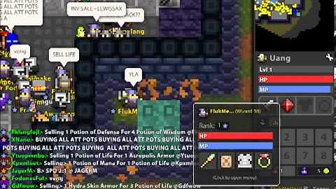 RotMG: Hacker #1