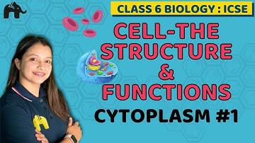 Cell-The structure & Functions Class 6 ICSE Biology Chapter 3 | Selina | Cytoplasm #1