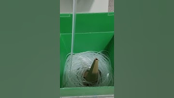 Good price easy operation PE Zipper Extruder Machine