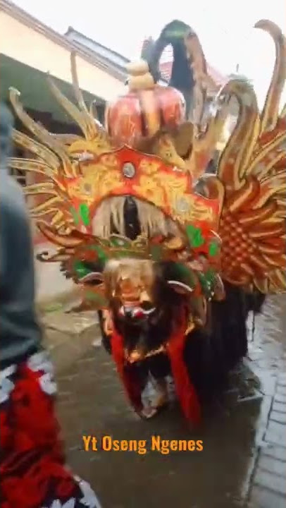 di guyur hujan arak arakan Barong Bhagaskara