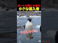ボートに飛んで来た小さな侵入者