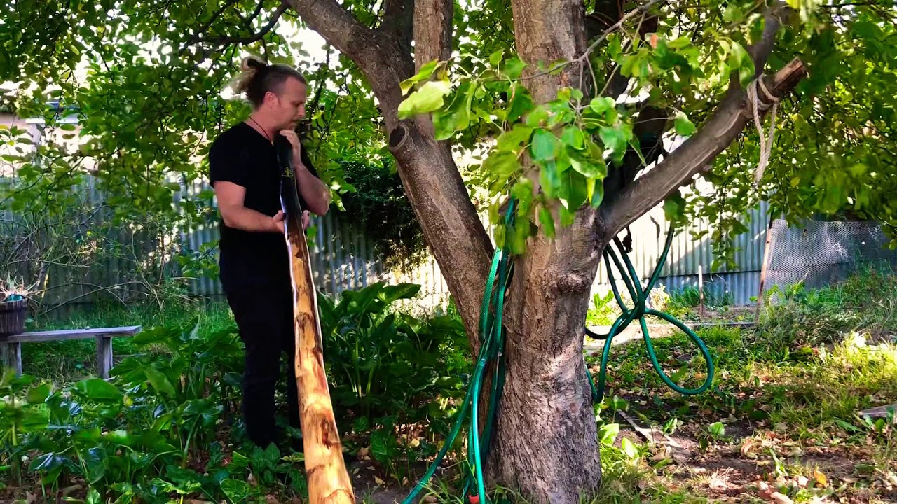 Didge beatboxing under an apple tree- Nathan Kaye