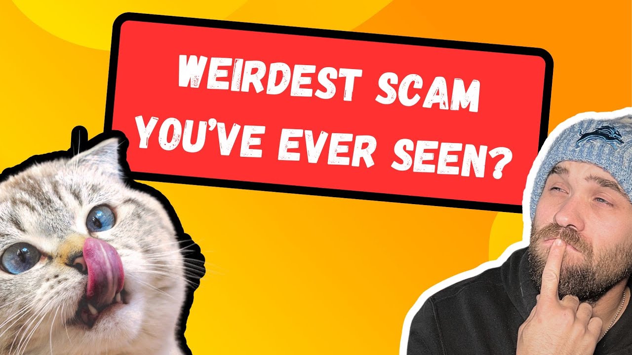 Answering Your Scam Questions! - Viewer Inquiries