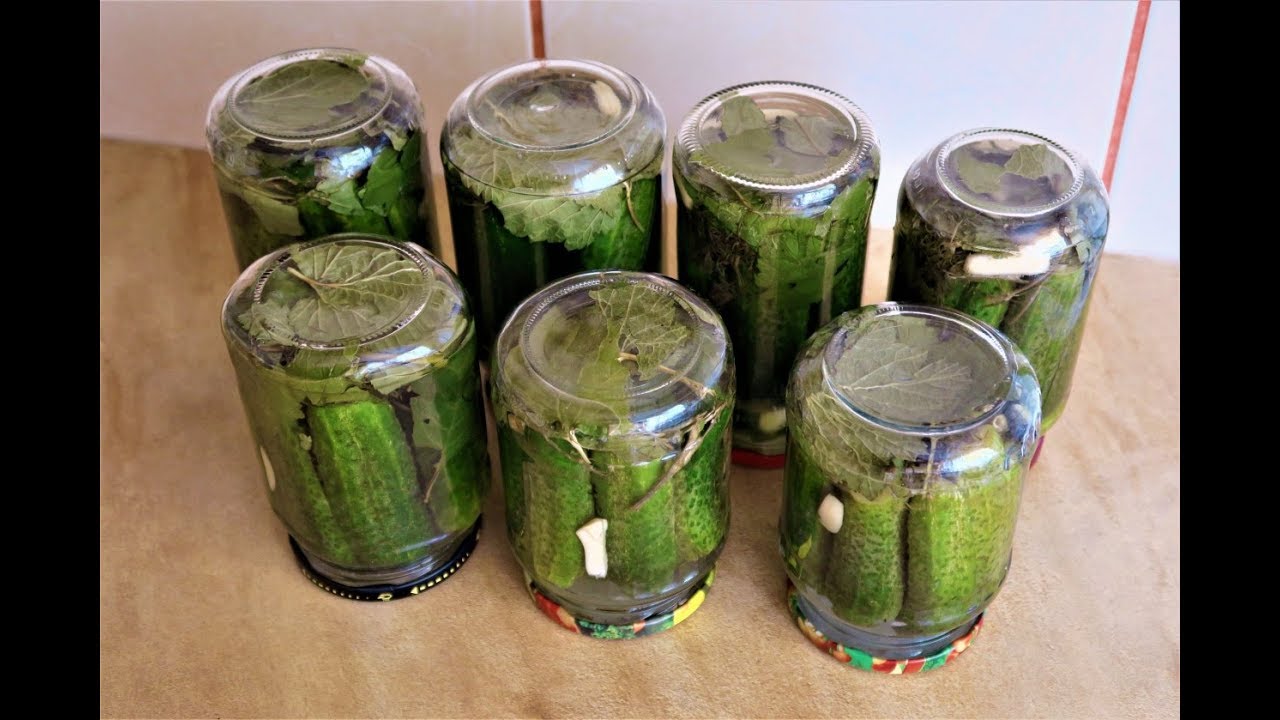 ОЧЕНЬ ВКУСНЫЕ, Хрустящие соленые огурцы НА ЗИМУ ИЛИ НЕT ...