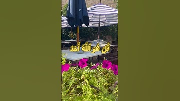 Surat Al Ikhlas (The Sincerity) | Mishary Rashid Alafasy | مشاري بن راشد العفاسي | سورة الإخلاص