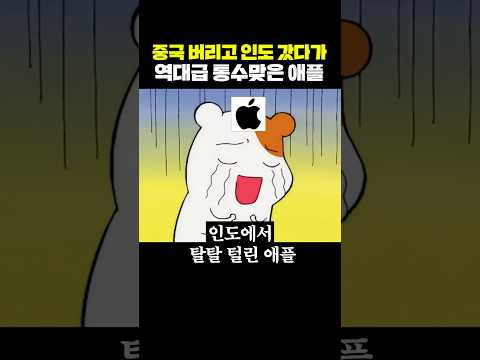 중국 버리고 <strong>인도</strong> 갔다가 역대급 통수맞은 애플