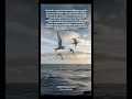 The Arctic Tern: A 2.4 Million Kilometer Journey #earth #shorts