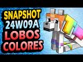 ✅ Lobos COLORIDOS y END bonito 👉 Snapshot 24W09A Minecraft 1.21