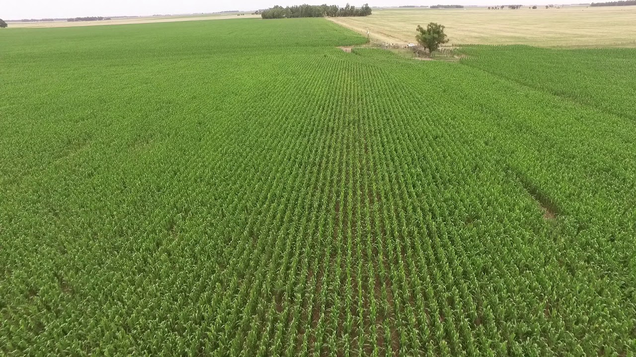 DJI 0871 - YouTube