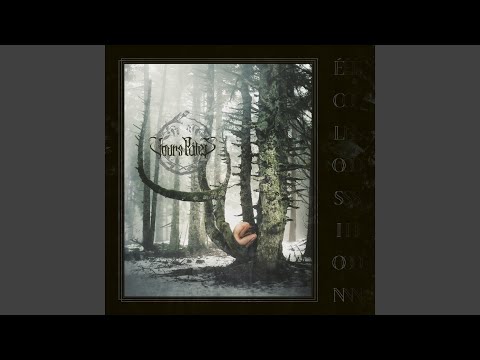 Jours Pâles — Ma dysthymie, sa vastitude