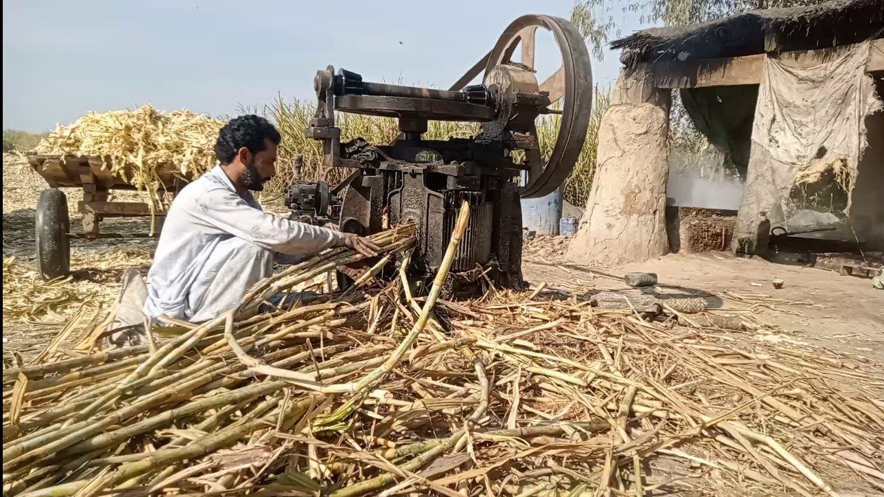 How to make sugar from sugarcane juice.Sugarcane juice,sugar from juice sugar from sugar processing
