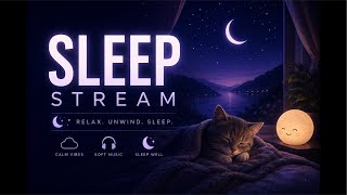 The sleep stream you all asked for!!😴😴