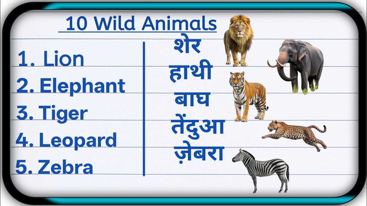 10 wild animals name in english and hindi | wild animals | janvaron ke ...