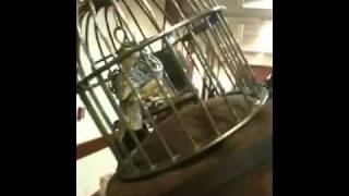 Clockwork bird
