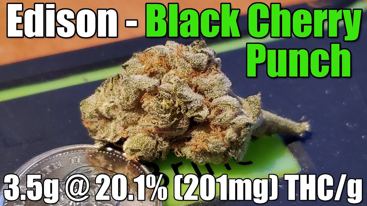 Edison - Black Cherry Punch - Unboxing Review - 3.5g @ 20.1% (201mg) THC/g (+Extreme Closeups)