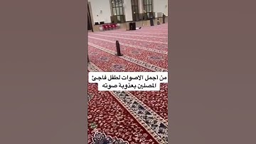 أجمل تلاوة عذبة | طفل يفاجئ المصلين بقرائته الجميلة