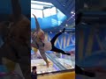 This Trampoline Is So 🤯🤯Fun! Why Didn't We Just Start Jumping Around Like This When We Were Kids
