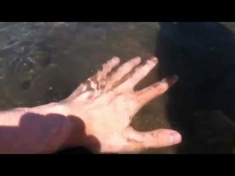 75 - Sounds in the Sea - Relaxing Water Sound - kiwiwhispers