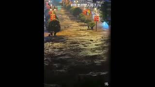 809393008 024875