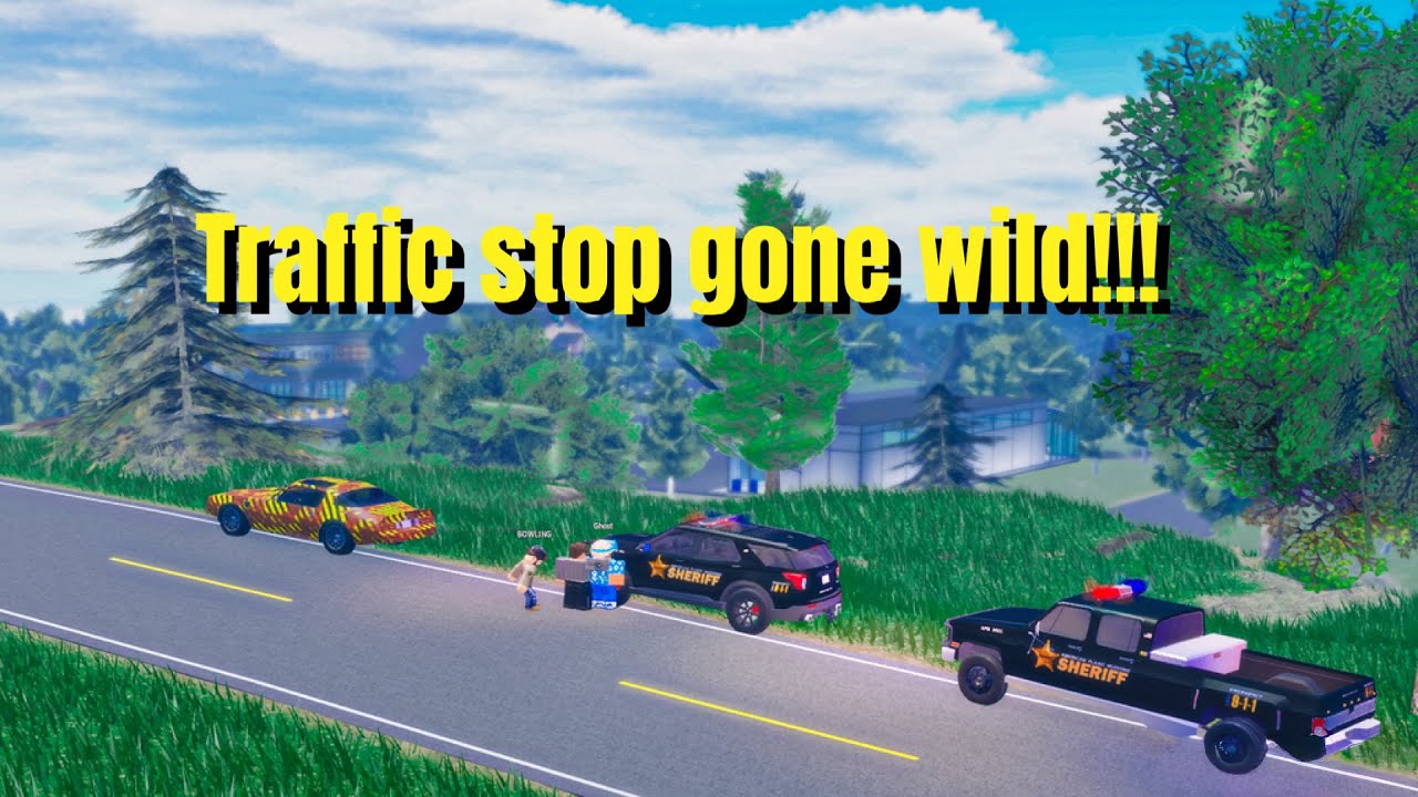 Traffic stop gone wild!!!