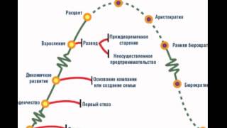Этапы жизненного цикла организации Этапы жизненного цикла организации