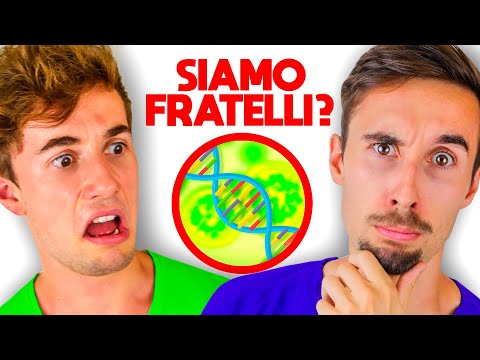 Video: I fratelli hanno lo stesso QI?