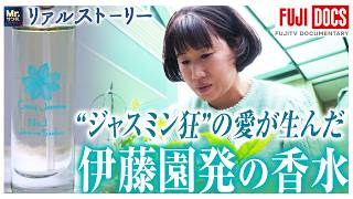 伊藤園の香水を生んだ“ジャスミン狂”の愛と執念【Mr.サンデー】