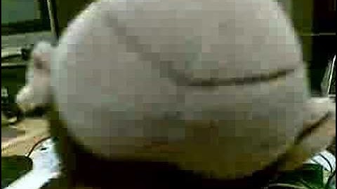 8051 Microcontroller project (test 2)