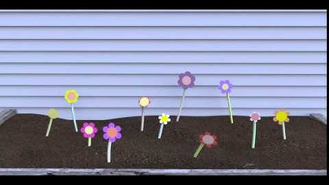 OSL Shader Animation