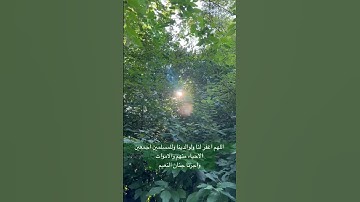 #تلاوة_خاشعة #إسلام_صبحي #تلاوة_هادئة #اسلام_صبحي #خواتيم_سورة_المؤمنون #قرآن_كريم #سورة_المؤمنون