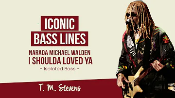 I Shoulda Loved Ya - Narada Michael Walden - Isolated Bass - T. M. Stevens