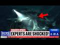 New Footage From the Mariana Trench Shows Something Impossible