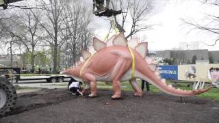 Steggie Returns To Cleveland With New Look