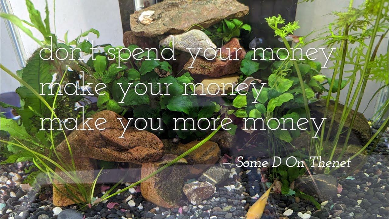 Make Money Work For You YouTube make-money-work-for-you-youtube
