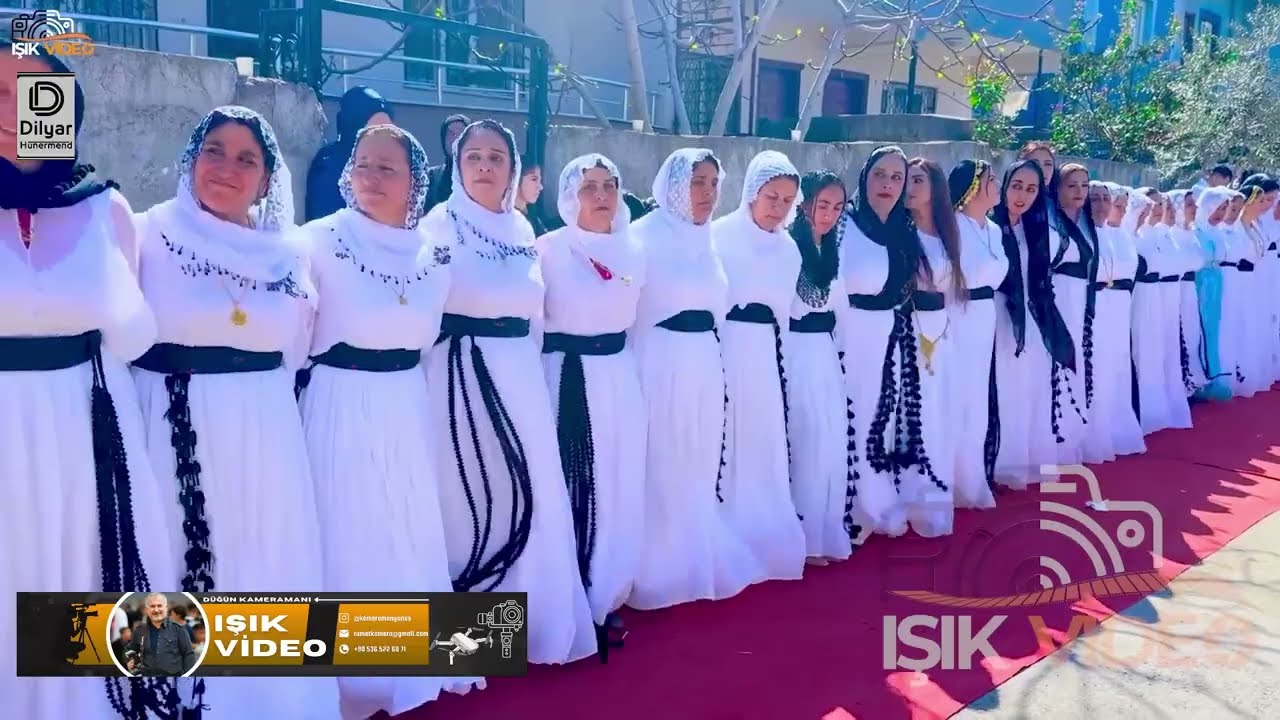 Hunermend Dilyar Ji floklor أجمل أغنية فلكلورية مع أجمل رقص @IŞIK_VİDEO