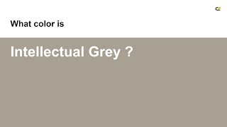Intellectual Grey color hex color - Yellow color