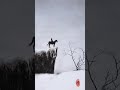 手绘 我颠沛流离，只为遇见温暖的你。