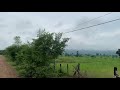 at the morning ពេលព្រឺកស្រស់ស្រាយ#nature#farm#fresh#music