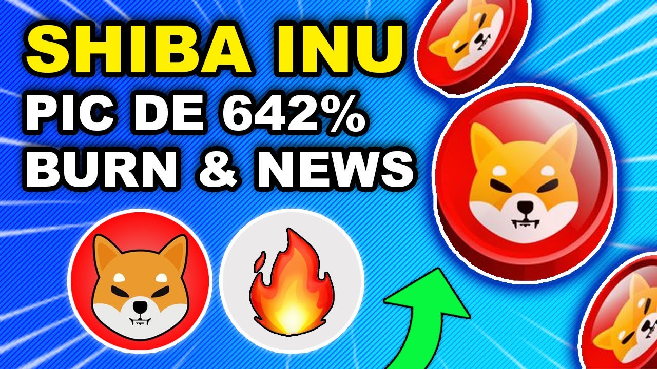 SHIBA INU 642 BINANCE RACHETE 72M DOLLARS DE SHIB L ADOPTION shiba-inu-642-binance-rachete-72m-dollars-de-shib-l-adoption