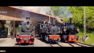 Chemin De Fer-Musée Blonay-Chamby - Mega Steam Festival
