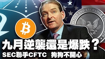 九月比特币虚火以太坊拉锯？上市公司囤以太坊；美国监管双雄联手；马斯克御用律师押狗狗币；欧盟冷水泼代币股 20250903