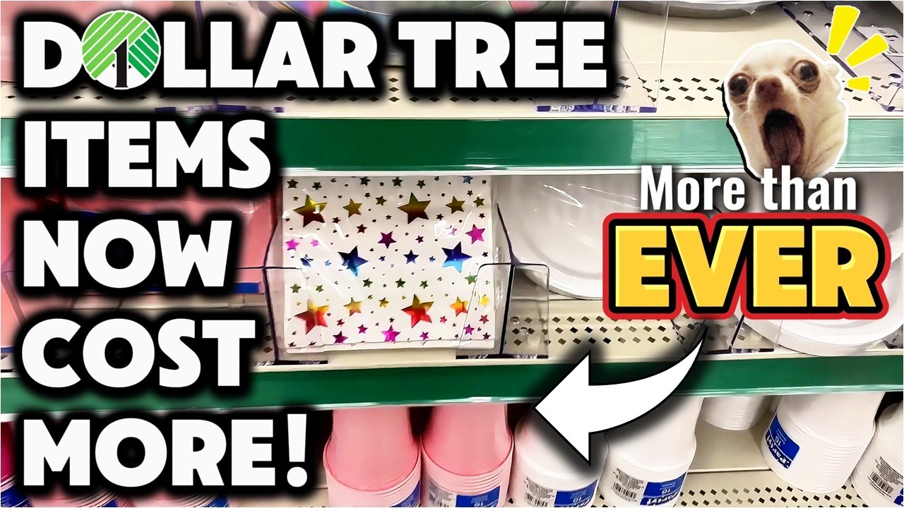 Dollar Tree Raised Prices AGAIN! 😳 What’s New & What’s Changed!
