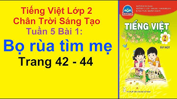 Tiếng Việt Lớp 2 – Bọ Rùa Tìm Mẹ – Chân Trời Sáng Tạo – Tuần 5 – Bài 1 – Trang 42 – 44