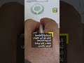 إشكال كبير يهز راشيا.. حفل طلابي يشعل المنطقة ورجل دين في الواجهة!