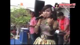 Dangdut Hot Koplo SERA JAMIN RASAKU INA SAMANTA Live Terbaru